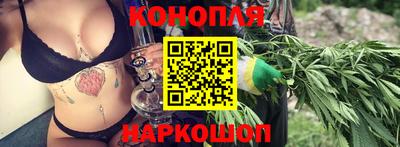 стафф Гусев